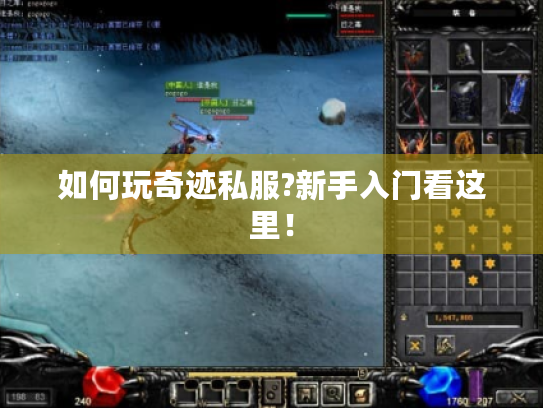 如何玩奇迹私服?新手入门看这里! 如何玩奇迹私服?新手入门看这里!