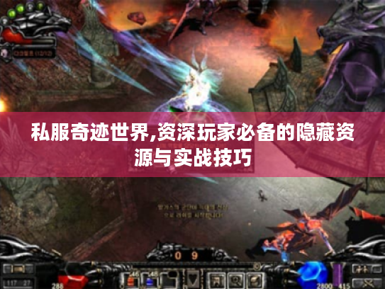 私服奇迹世界,资深玩家必备的隐藏资源与实战技巧 私服奇迹世界,资深玩家必备的隐藏资源与实战技巧