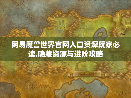 网易魔兽世界官网入口资深玩家必读,隐藏资源与进阶攻略
