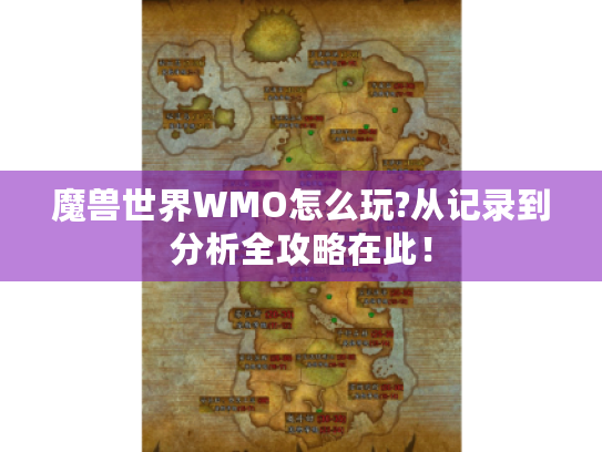 魔兽世界WMO怎么玩?从记录到分析全攻略在此! 魔兽世界WMO怎么玩?从记录到分析全攻略在此!