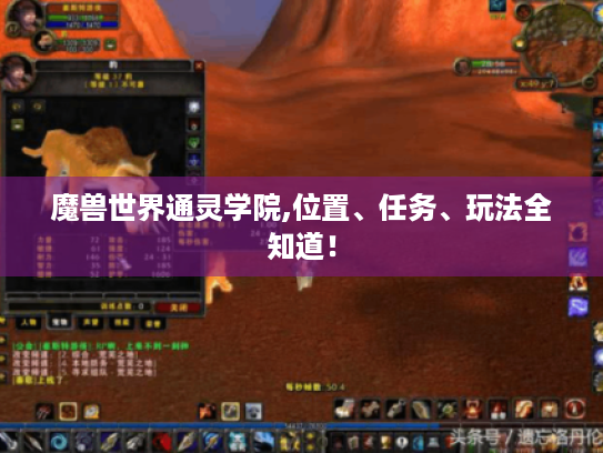 魔兽世界通灵学院,位置、任务、玩法全知道! 魔兽世界通灵学院,位置、任务、玩法全知道!