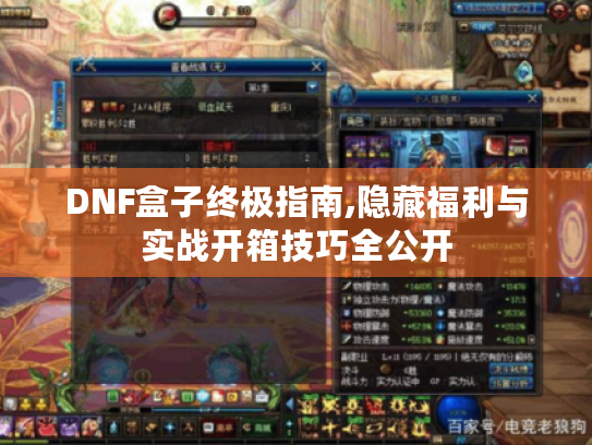 DNF盒子终极指南,隐藏福利与实战开箱技巧全公开 DNF盒子终极指南,隐藏福利与实战开箱技巧全公开