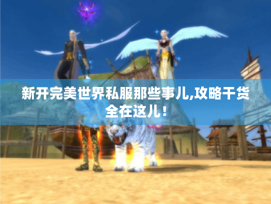 新开完美世界私服那些事儿,攻略干货全在这儿! 新开完美世界私服那些事儿,攻略干货全在这儿!