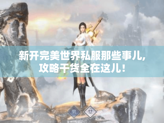 新开完美世界私服那些事儿,攻略干货全在这儿! 新开完美世界私服那些事儿,攻略干货全在这儿!