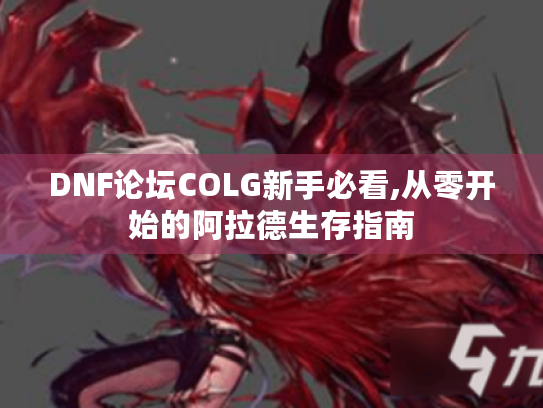 DNF论坛COLG新手必看,从零开始的阿拉德生存指南