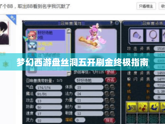 梦幻西游盘丝洞五开刷金终极指南 梦幻西游盘丝洞五开刷金终极指南