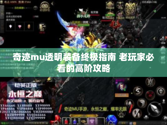 奇迹mu透明装备终极指南 老玩家必看的高阶攻略 奇迹mu透明装备终极指南 老玩家必看的高阶攻略