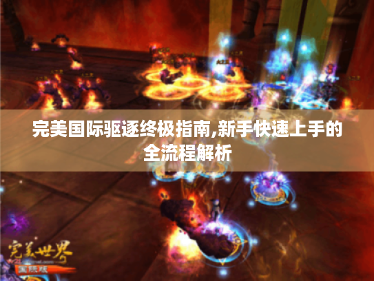 完美国际驱逐终极指南,新手快速上手的全流程解析 完美国际驱逐终极指南,新手快速上手的全流程解析