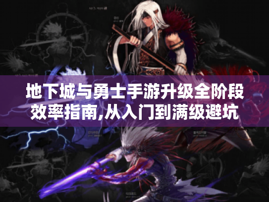 地下城与勇士手游升级全阶段效率指南,从入门到满级避坑手册