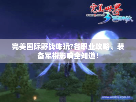 完美国际野战咋玩?各职业攻略、装备军衔影响全知道! 完美国际野战咋玩?各职业攻略、装备军衔影响全知道!