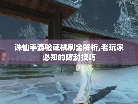 诛仙手游验证机制全解析,老玩家必知的防封技巧 诛仙手游验证机制全解析,老玩家必知的防封技巧
