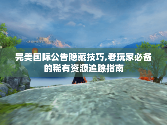 完美国际公告隐藏技巧,老玩家必备的稀有资源追踪指南 完美国际公告隐藏技巧,老玩家必备的稀有资源追踪指南