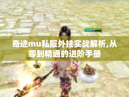 奇迹mu私服外挂实战解析,从零到精通的进阶手册 奇迹mu私服外挂实战解析,从零到精通的进阶手册