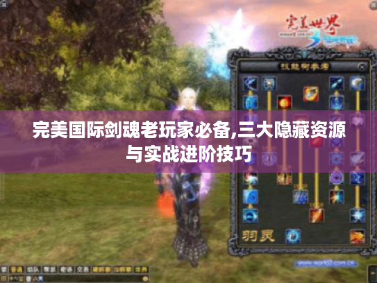 完美国际剑魂老玩家必备,三大隐藏资源与实战进阶技巧 完美国际剑魂老玩家必备,三大隐藏资源与实战进阶技巧