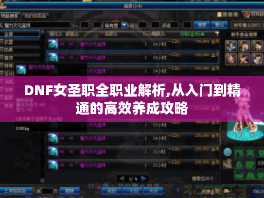 DNF女圣职全职业解析,从入门到精通的高效养成攻略 DNF女圣职全职业解析,从入门到精通的高效养成攻略