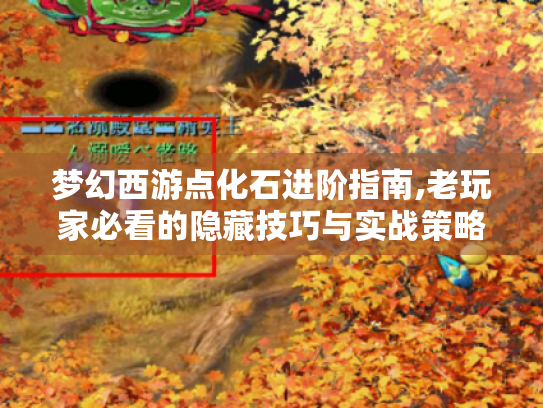 梦幻西游点化石进阶指南,老玩家必看的隐藏技巧与实战策略 梦幻西游点化石进阶指南,老玩家必看的隐藏技巧与实战策略