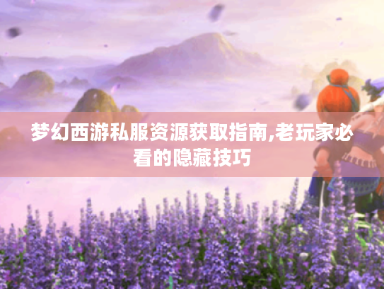 梦幻西游私服资源获取指南,老玩家必看的隐藏技巧 梦幻西游私服资源获取指南,老玩家必看的隐藏技巧