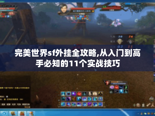 完美世界sf外挂全攻略,从入门到高手必知的11个实战技巧 完美世界sf外挂全攻略,从入门到高手必知的11个实战技巧