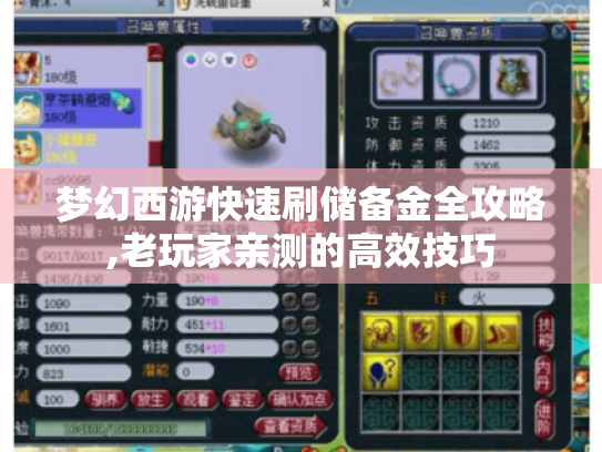 梦幻西游快速刷储备金全攻略,老玩家亲测的高效技巧 梦幻西游快速刷储备金全攻略,老玩家亲测的高效技巧