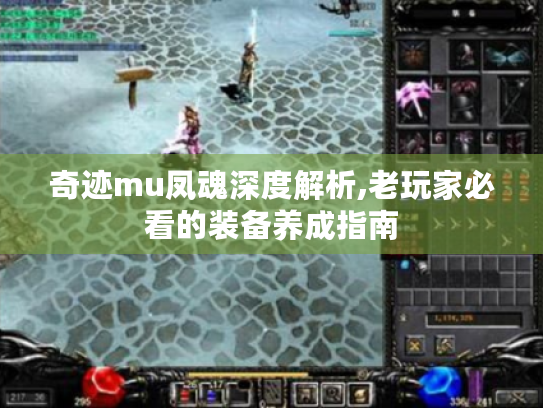 奇迹mu凤魂深度解析,老玩家必看的装备养成指南 奇迹mu凤魂深度解析,老玩家必看的装备养成指南