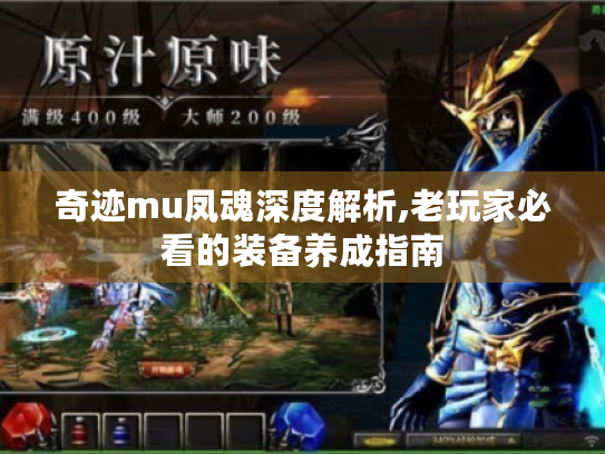 奇迹mu凤魂深度解析,老玩家必看的装备养成指南 奇迹mu凤魂深度解析,老玩家必看的装备养成指南