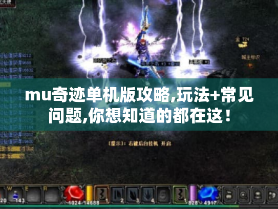 mu奇迹单机版攻略,玩法+常见问题,你想知道的都在这！