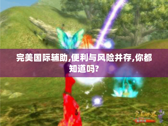 完美国际辅助,便利与风险并存,你都知道吗? 完美国际辅助,便利与风险并存,你都知道吗?