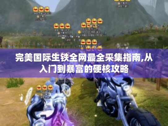 完美国际生铁全网最全采集指南,从入门到暴富的硬核攻略 完美国际生铁全网最全采集指南,从入门到暴富的硬核攻略
