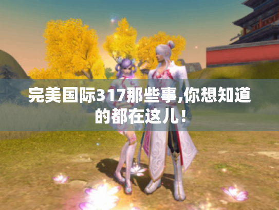 完美国际317那些事,你想知道的都在这儿！