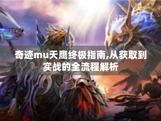 奇迹mu天鹰终极指南,从获取到实战的全流程解析