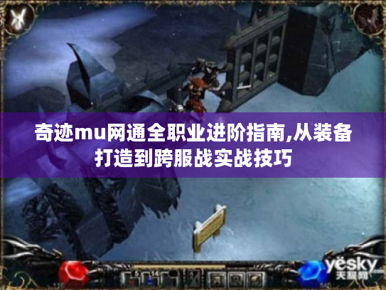 奇迹mu网通全职业进阶指南,从装备打造到跨服战实战技巧