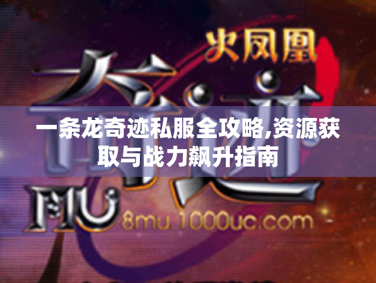 一条龙奇迹私服全攻略,资源获取与战力飙升指南