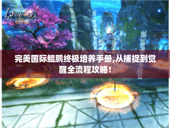 完美国际鲲鹏终极培养手册,从捕捉到觉醒全流程攻略! 完美国际鲲鹏终极培养手册,从捕捉到觉醒全流程攻略!