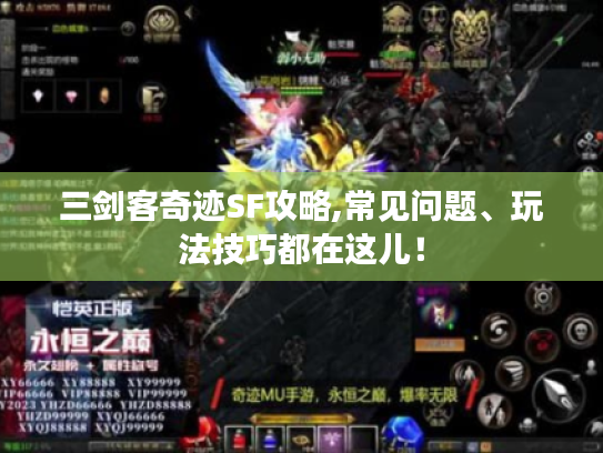 三剑客奇迹SF攻略,常见问题、玩法技巧都在这儿! 三剑客奇迹SF攻略,常见问题、玩法技巧都在这儿!