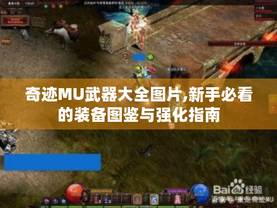 奇迹MU武器大全图片,新手必看的装备图鉴与强化指南 奇迹MU武器大全图片,新手必看的装备图鉴与强化指南