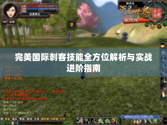 完美国际刺客技能全方位解析与实战进阶指南