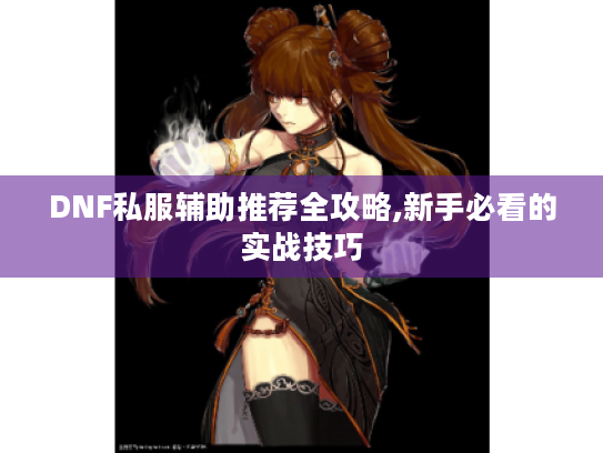 DNF私服辅助推荐全攻略,新手必看的实战技巧