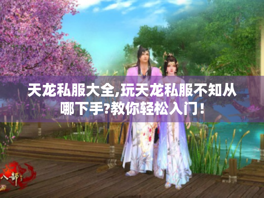 天龙私服大全,玩天龙私服不知从哪下手?教你轻松入门！