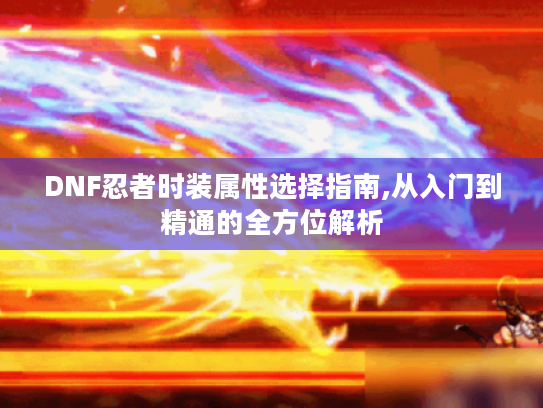 DNF忍者时装属性选择指南,从入门到精通的全方位解析 DNF忍者时装属性选择指南,从入门到精通的全方位解析