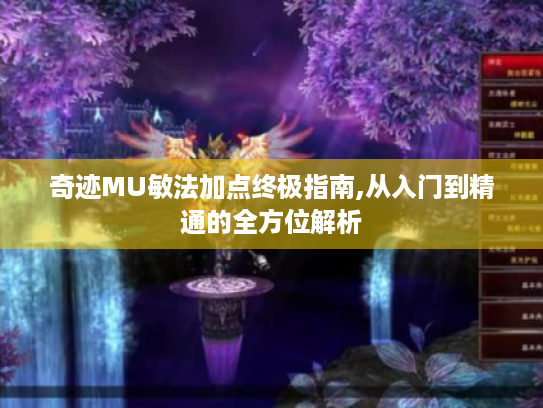 奇迹MU敏法加点终极指南,从入门到精通的全方位解析