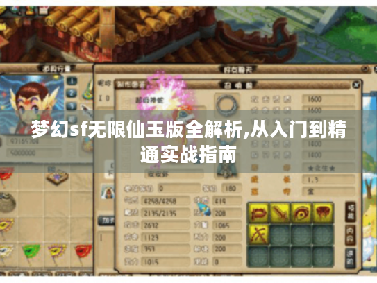 梦幻sf无限仙玉版全解析,从入门到精通实战指南 梦幻sf无限仙玉版全解析,从入门到精通实战指南
