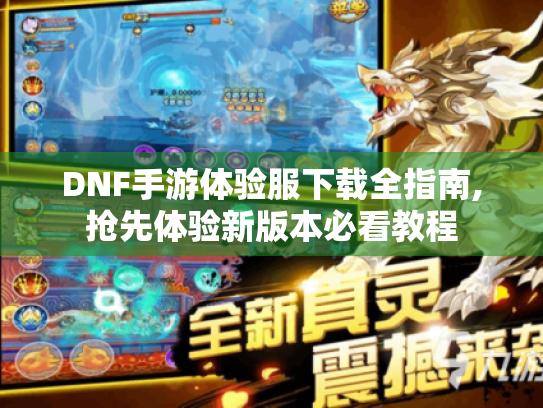DNF手游体验服下载全指南,抢先体验新版本必看教程