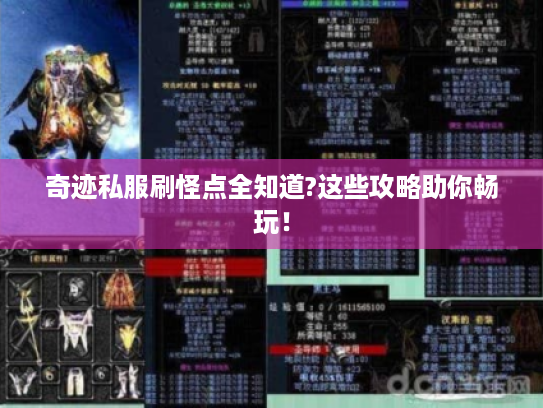 奇迹私服刷怪点全知道?这些攻略助你畅玩! 奇迹私服刷怪点全知道?这些攻略助你畅玩!