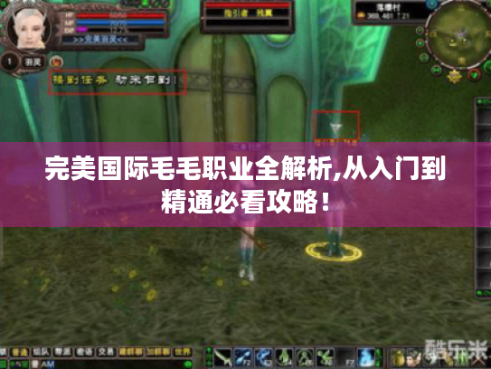 完美国际毛毛职业全解析,从入门到精通必看攻略！