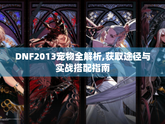 DNF2013宠物全解析,获取途径与实战搭配指南 DNF2013宠物全解析,获取途径与实战搭配指南