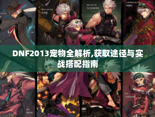 DNF2013宠物全解析,获取途径与实战搭配指南 DNF2013宠物全解析,获取途径与实战搭配指南