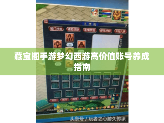 藏宝阁手游梦幻西游高价值账号养成指南 藏宝阁手游梦幻西游高价值账号养成指南