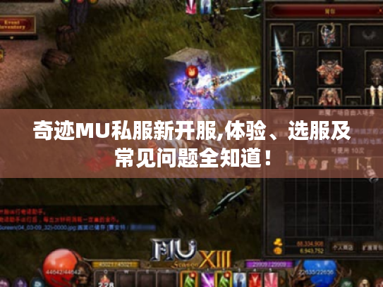 奇迹MU私服新开服,体验、选服及常见问题全知道! 奇迹MU私服新开服,体验、选服及常见问题全知道!