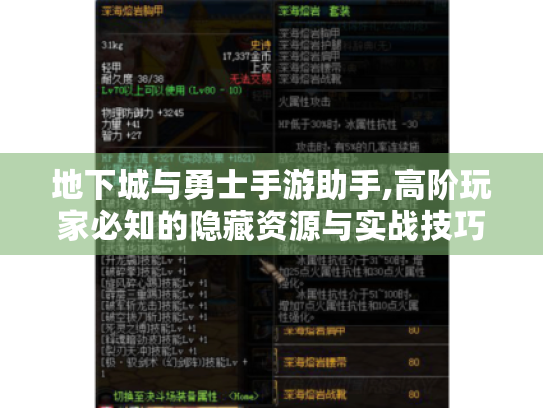 地下城与勇士手游助手,高阶玩家必知的隐藏资源与实战技巧 地下城与勇士手游助手,高阶玩家必知的隐藏资源与实战技巧