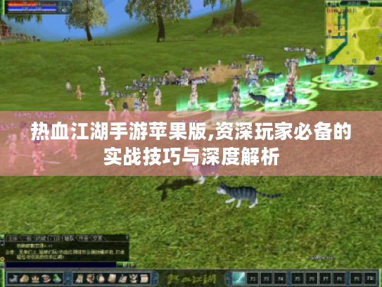 热血江湖手游苹果版,资深玩家必备的实战技巧与深度解析 热血江湖手游苹果版,资深玩家必备的实战技巧与深度解析